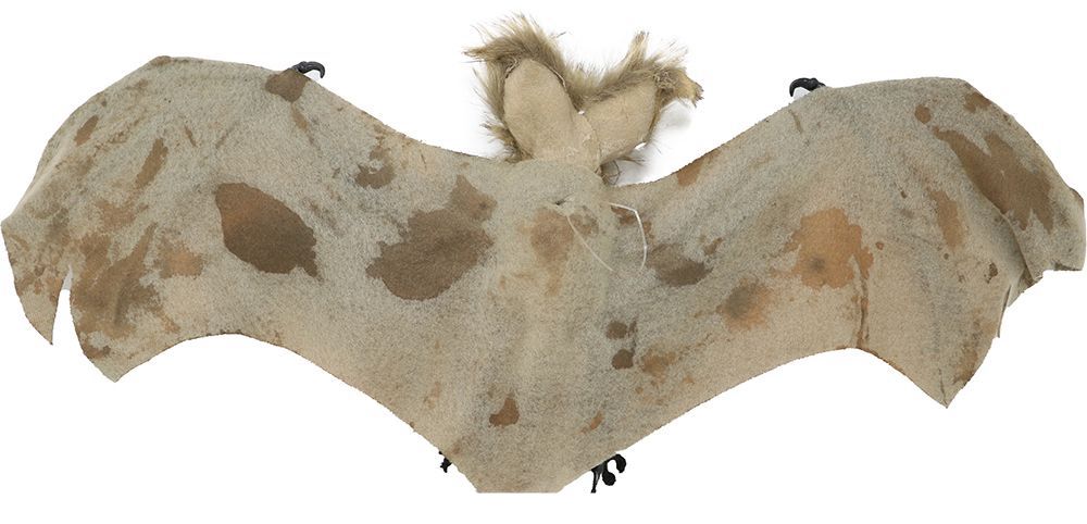 Chauve-souris d'Halloween 60cm