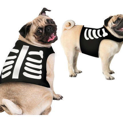 Costume d'animal d'Halloween Mascotte de squelette