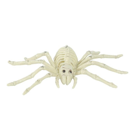 Halloween Spider Skeleton 24cm