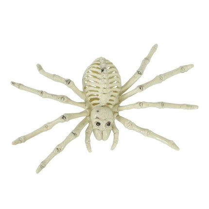 Halloween Spider Skeleton 24cm