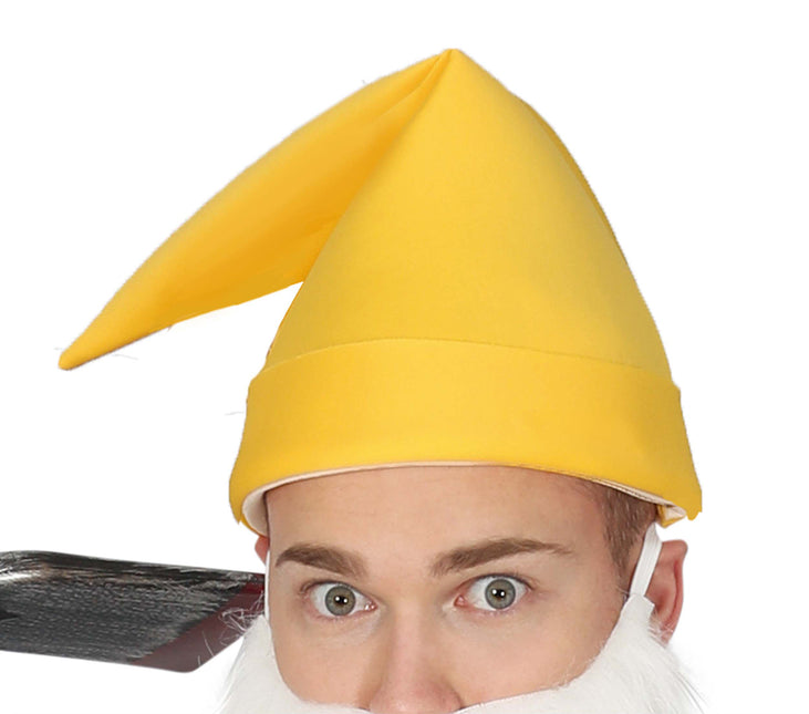 Costume de nains