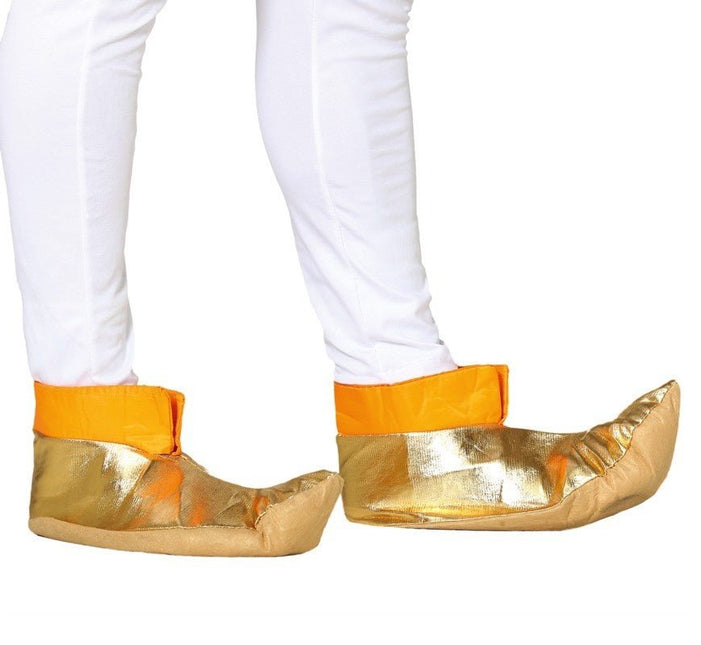 Aladdin Schoenen van Fiestas Guirca koop je bij Partywinkel