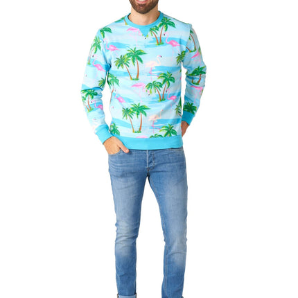 Pull Hawaii Flamingo Hommes <tc>OppoSuits</tc>