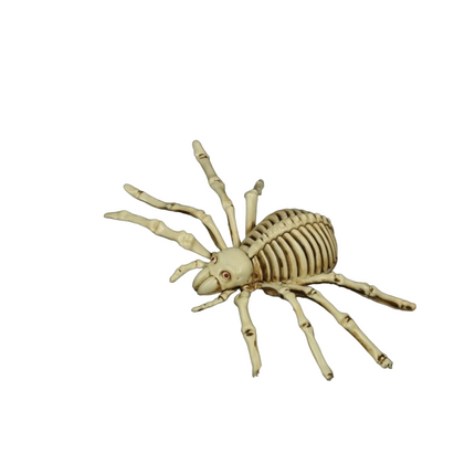 Halloween Spider Skeleton 24cm