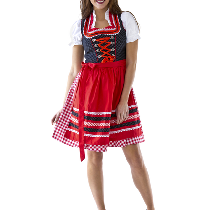 Rouge Blanc Robe Dirndl Oktoberfest Dames à carreaux