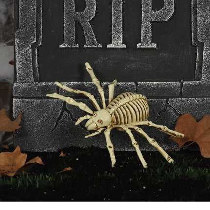 Halloween Spider Skeleton 24cm