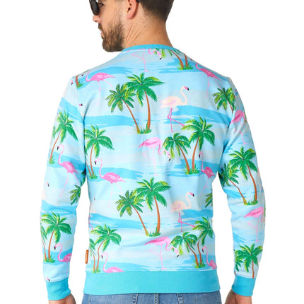 Pull Hawaii Flamingo Hommes <tc>OppoSuits</tc>