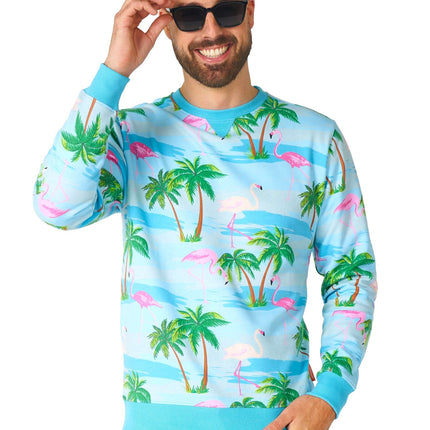 Pull Hawaii Flamingo Hommes <tc>OppoSuits</tc>