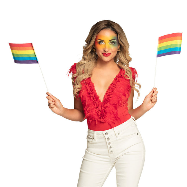 6 drapeaux ondulants en papier Arc-en-ciel 20x14cm/bâton de 40cm