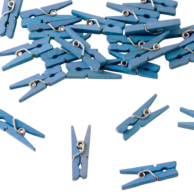 Piquets bleus - 24 pièces