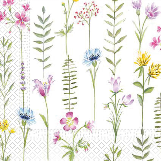 Serviettes en papier 3 plis 33X33Cm/Everyday Designs Serviettes en papier 3 plis 33X33Cm Botanique 20St