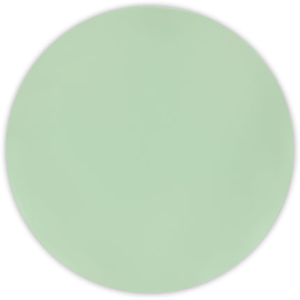 Produits de couleurs solides réutilisables Assiettes réutilisables 25Cm Menthe Pastel 2St