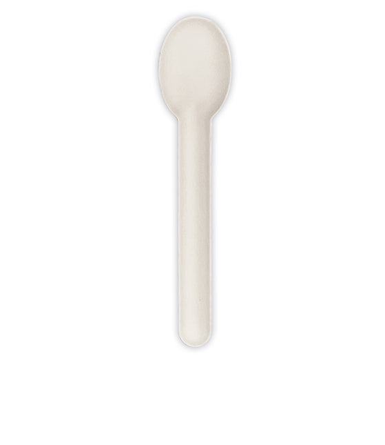 Couverts blancs Cuillères jetables 8pcs