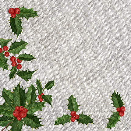 Serviettes en papier 3 plis Serviettes en papier 3 plis 33X33Cm Gui en tissu 20St
