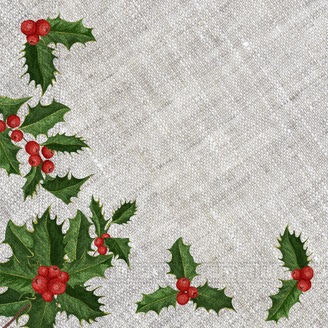 Serviettes en papier 3 plis Serviettes en papier 3 plis 33X33Cm Gui en tissu 20St