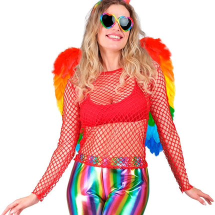 AILES DE PLUMES ARC-EN-CIEL PLIABLES 50 X 50 CM