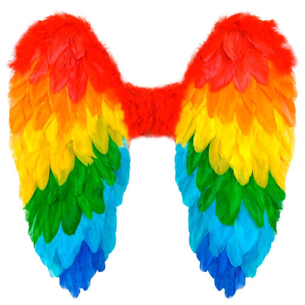 AILES DE PLUMES ARC-EN-CIEL PLIABLES 50 X 50 CM