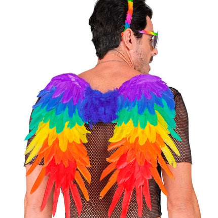 AILES DE PLUMES ARC-EN-CIEL PLIABLES 50 X 50 CM