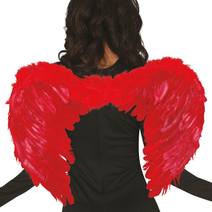 Plumes des Ailes Rouges 60cm