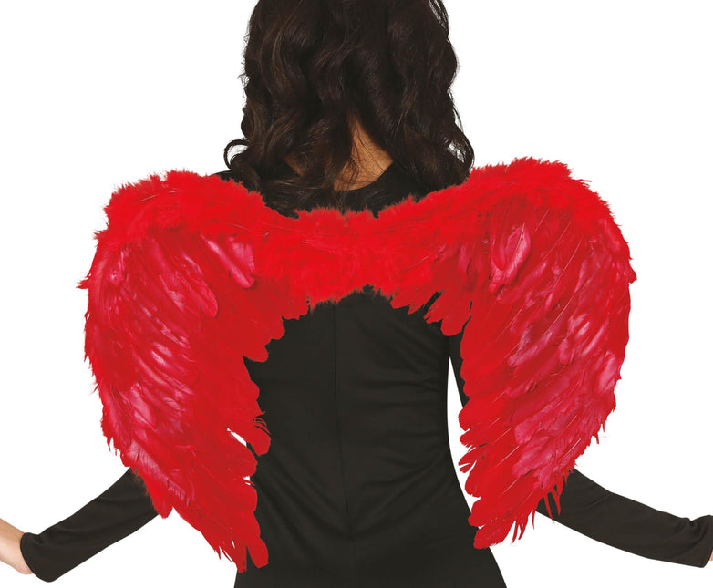 Plumes des Ailes Rouges 60x45cm