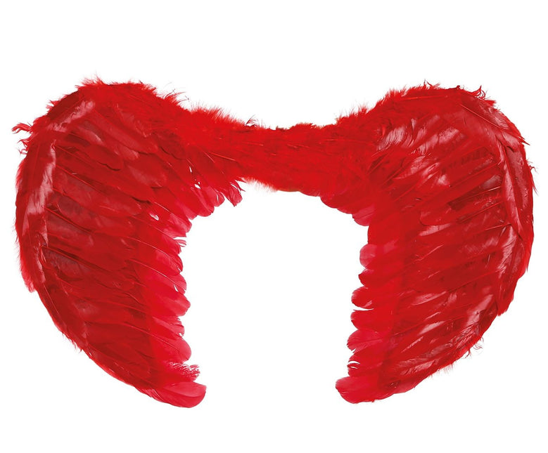 Plumes des Ailes Rouges 60x45cm