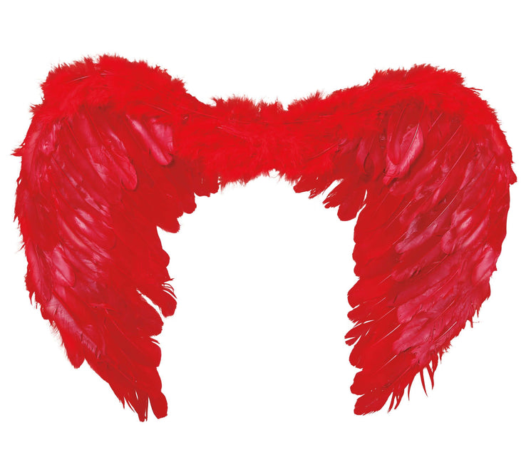 Plumes des Ailes Rouges 60x45cm
