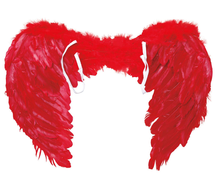Plumes des Ailes Rouges 60x45cm