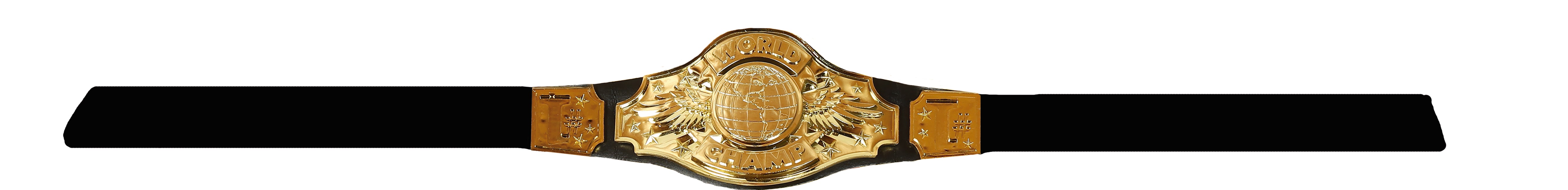 Ceinture Championne du monde 1,15m