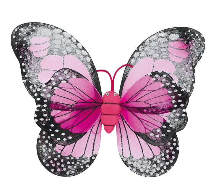 Ailes de papillon 50cm