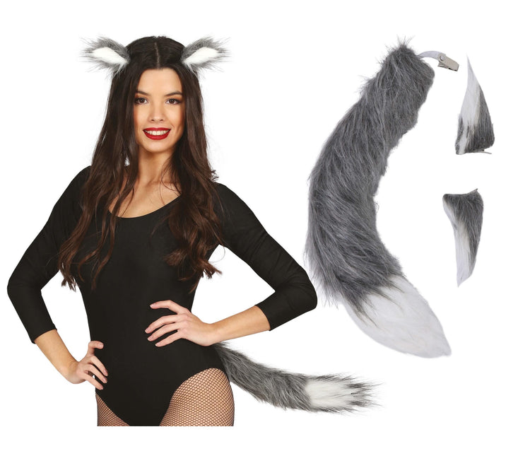Ensemble d'accessoires Fox 2 pièces