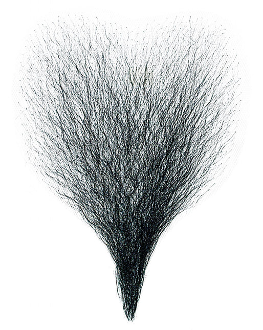 Poils de poitrine noirs