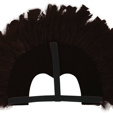 Tête de plume noire