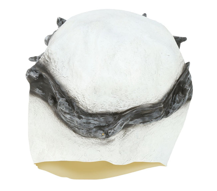 Masque d'Halloween Squelette