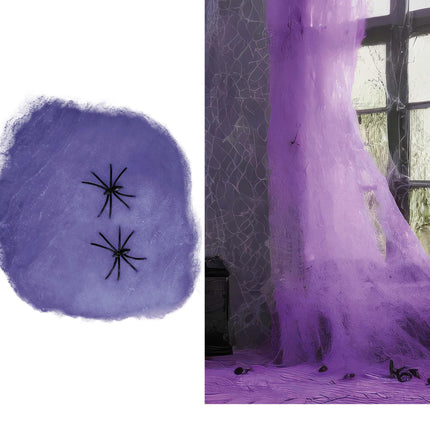 Toile d'araignée violette 60g