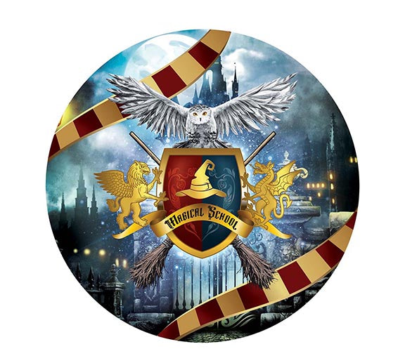 Bol Harry Potter 27cm