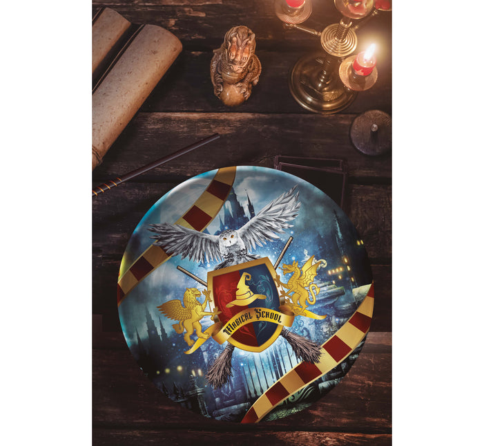 Bol Harry Potter 27cm