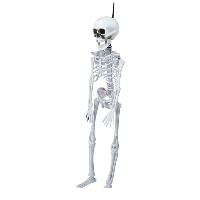 Squelette d'Halloween 40cm