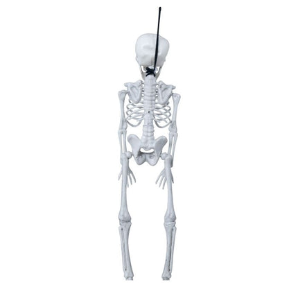 Squelette d'Halloween 40cm