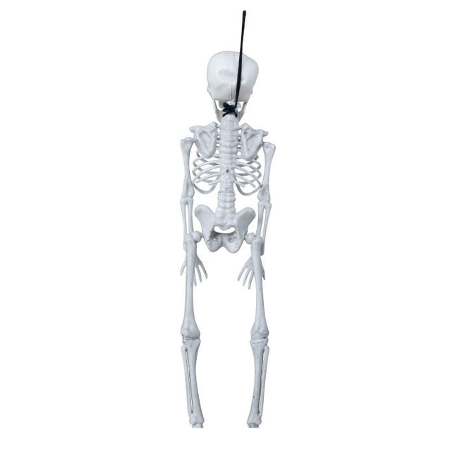 Squelette d'Halloween 40cm