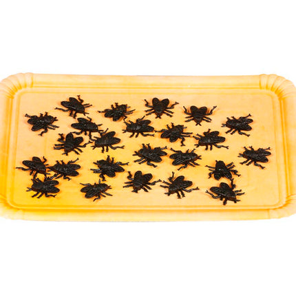 Fausses mouches 2cm 24pcs