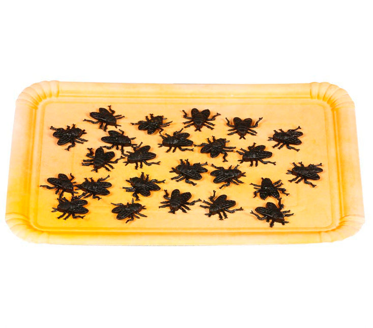 Fausses mouches 2cm 24pcs
