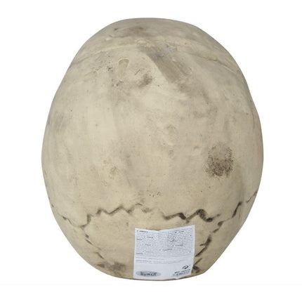 Crâne d'Halloween 32cm