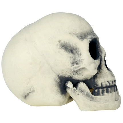 Crâne d'Halloween 32cm
