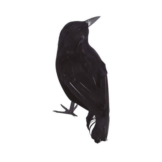 Corbeau d'Halloween 25cm