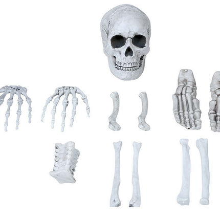 Squelette d'Halloween