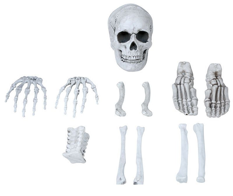 Squelette d'Halloween