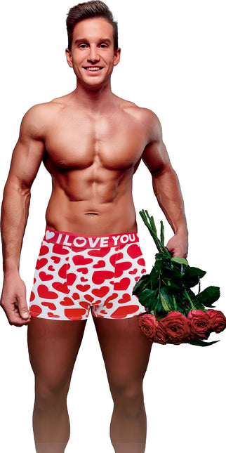 I Love You Underpants Red White Hearts (Je t'aime, slip rouge et blanc)