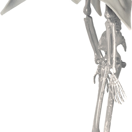 Poupée d'Halloween Squelette Vampire 40cm