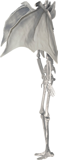 Poupée d'Halloween Squelette Vampire 40cm