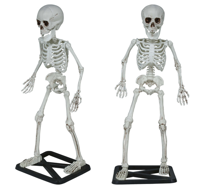 Squelette d'Halloween 55cm